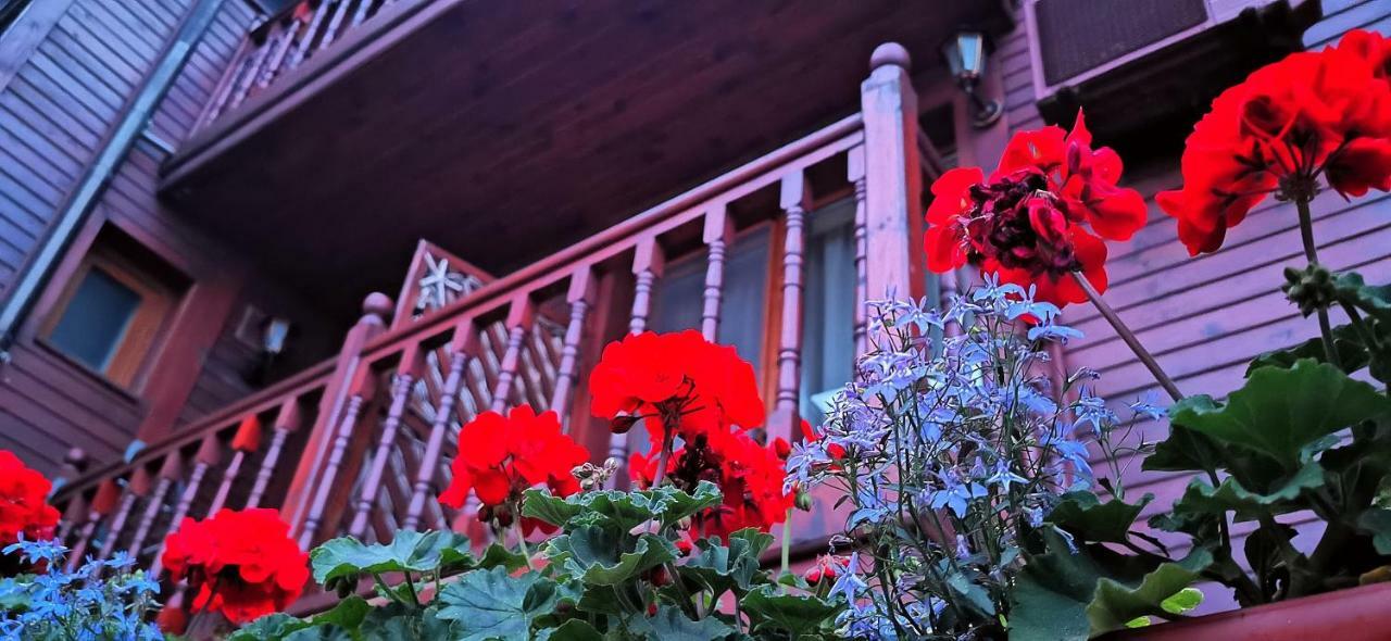 Hotel Albatros Old Town Sozopol Zewnętrze zdjęcie